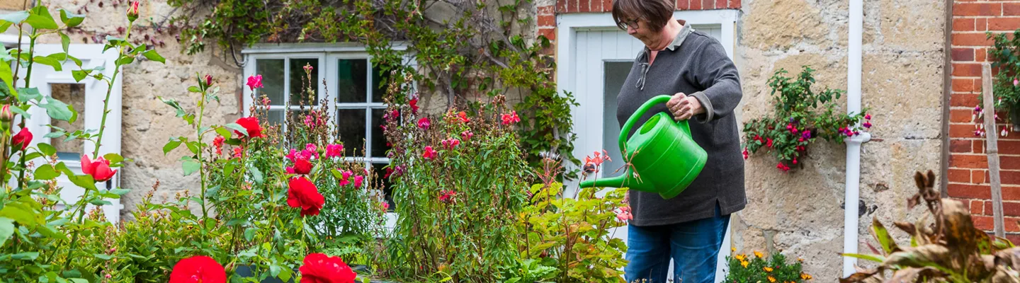 Person in a grey top and blue jeans waters a colourful garden with a bright green watering can, among red roses and pink flowers by a stone house.