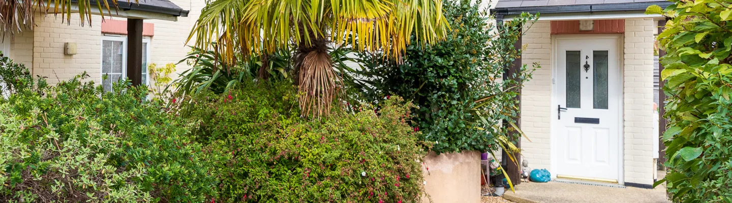 Front garden of a beige brick house with a white front door, dense tropical shrubs and a tall palm, lush greenery along the entrance path.