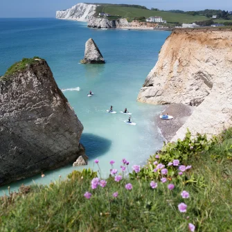 Coastal cove with turquoise water and white chalk cliffs; paddleboarders in a small inlet, green hills and pink wildflowers in the foreground.