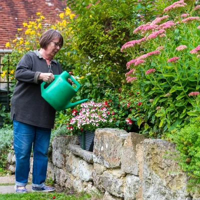 Person watering pink-flowering plants in a garden beside a stone wall, with a green watering can and a house with a red-tiled roof in the background.